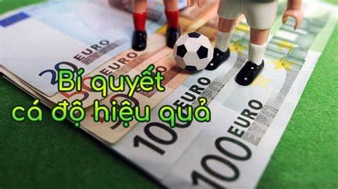 Hướng dẫn bạn cách cá cược hiệu quả