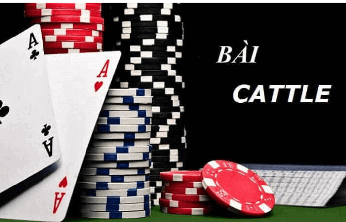 Bài Catte sử dụng bộ bài 52 lá và sẽ có từ 5-6 người tham gia