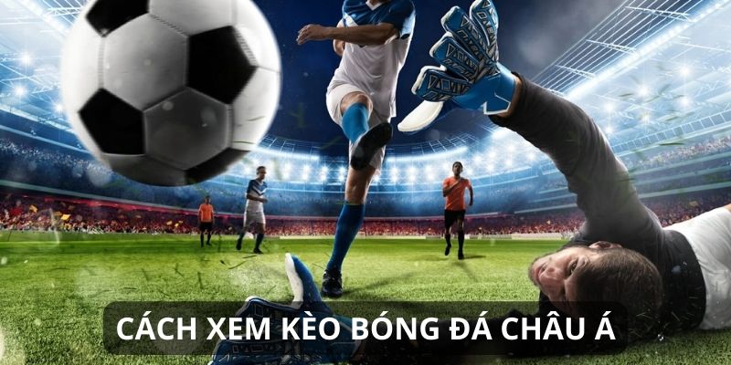 Hướng dẫn cách đọc kèo châu Âu chính xác
