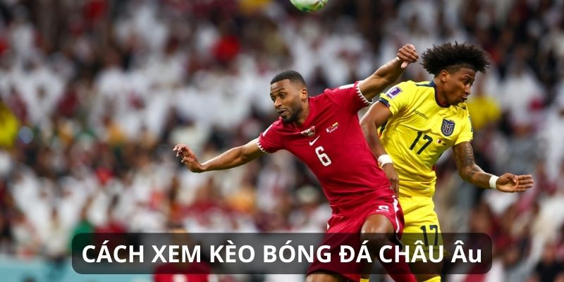 Chia sẻ kinh nghiệm soi kèo Châu Âu luôn thắng