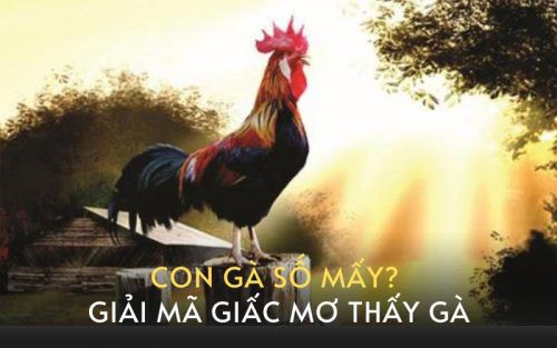 Nằm mơ thấy gà chốt con số mấy thắng đậm