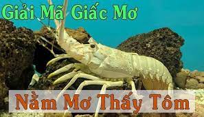 Nằm mơ thấy tôm đánh con lô gì trúng lớn