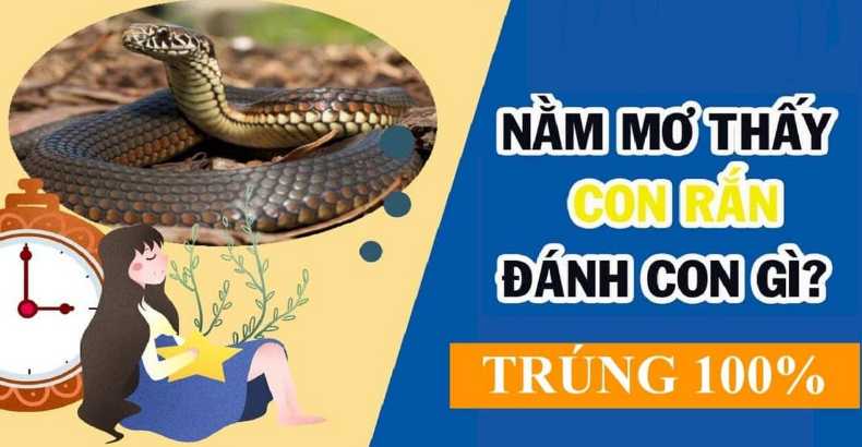 Cá độ số gì may mắn khi chiem bao thấy rắn xanh?